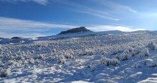 Zonas altas de Puno afectadas por intensa nevada que cubrió cerros y pastizales