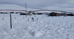 LAMPA: Las intensas nevadas y granizadas que afectan la provincia