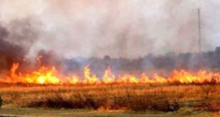 #AZANGARO INCENDIO DE GRAN MAGNITUD – SE SOLICITA APOYO INMEDIATO EN KM48 LLALLAHUA SANTIAGO DE PUPUJA